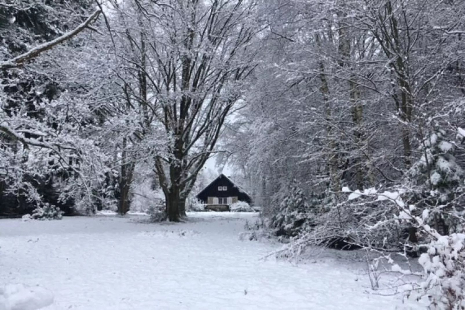 Johanne Louise-Gebiet Winter 1 km