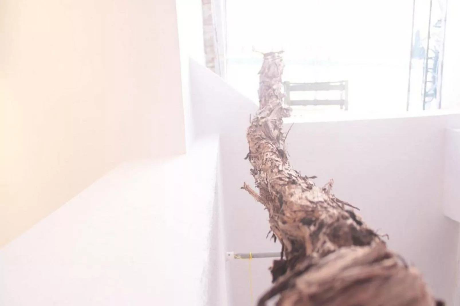 Studio Toniko - Studio Apartment