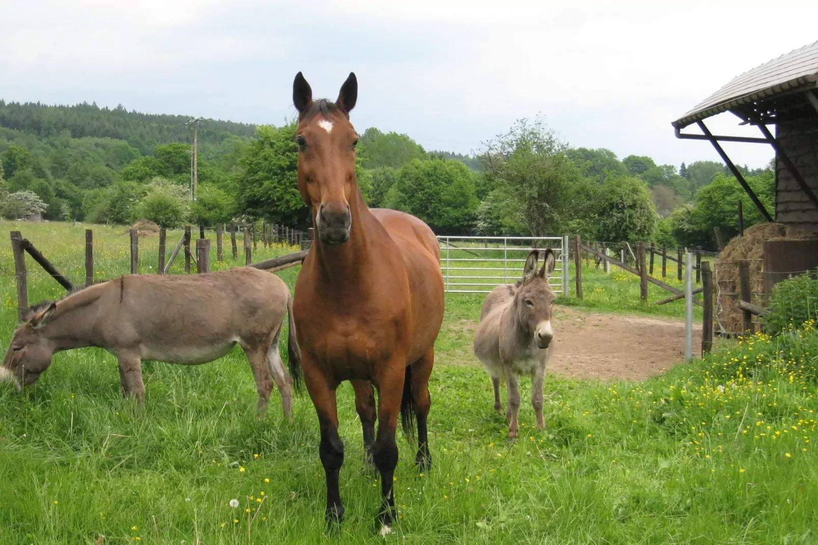 Gite la Randonnee-Gebiete Sommer 1 km