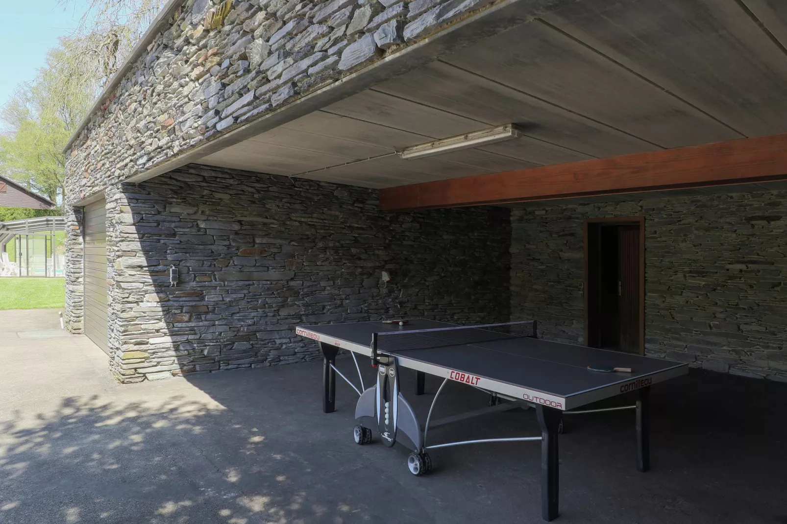 Au Bonalfa 21p-Recreation room