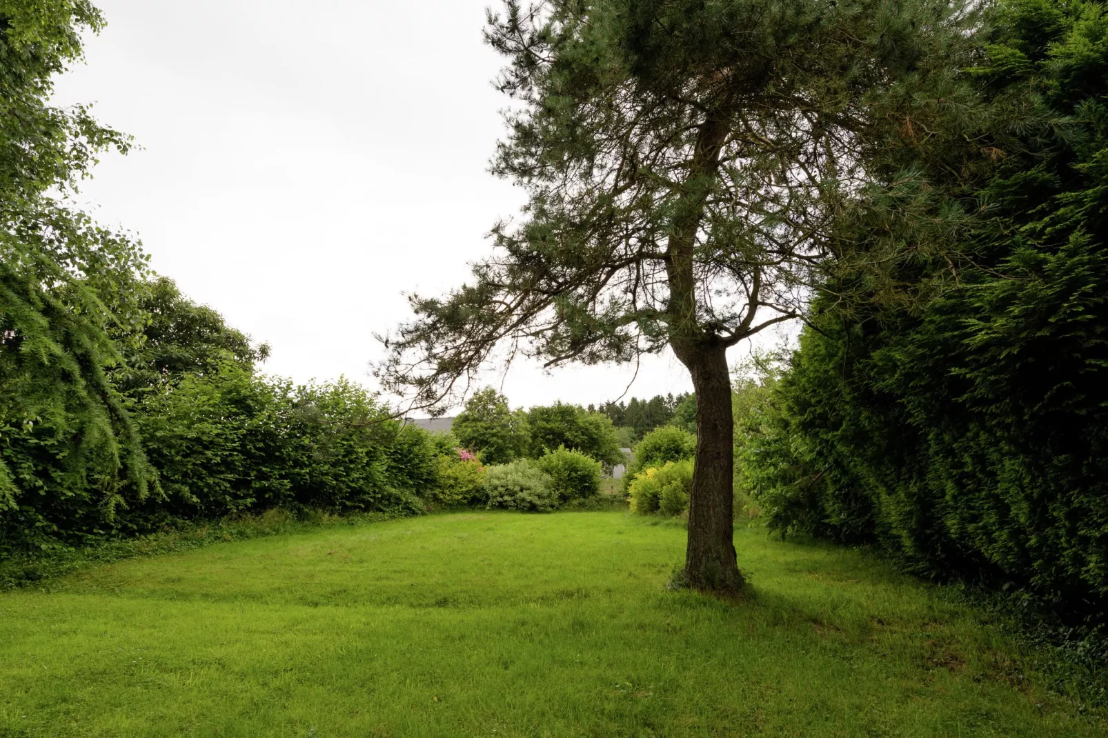 La Bonbonnière-Jardin d'été