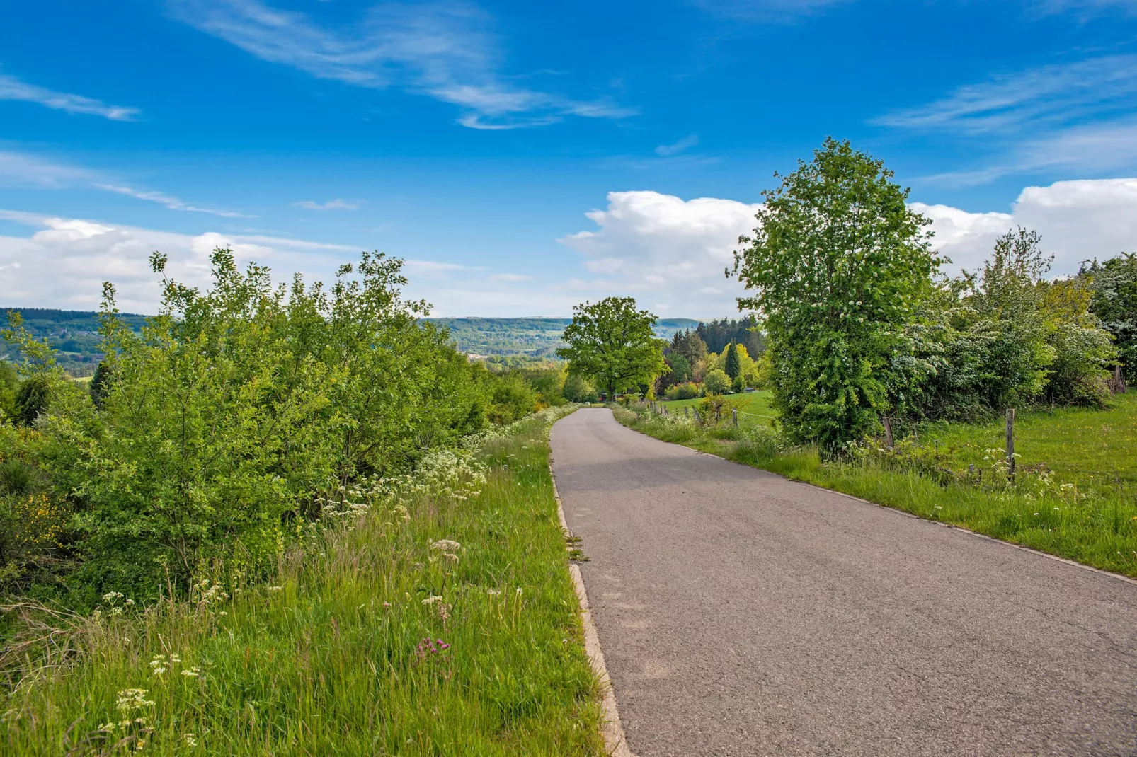Les Hirondelles-Areas summer 1km