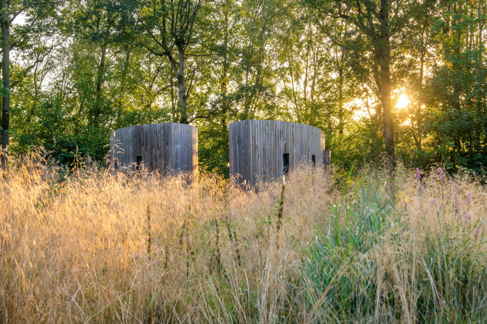 The Lodge by YourNature-Gardens summer