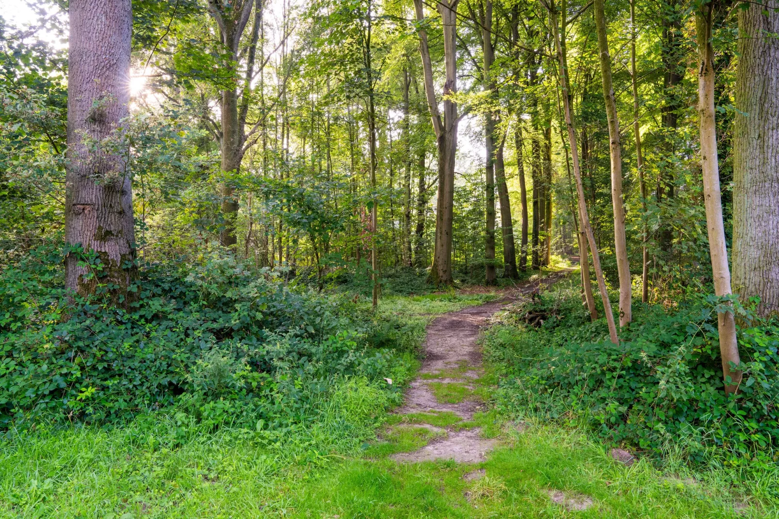 The Lodge by YourNature-Areas summer 5km