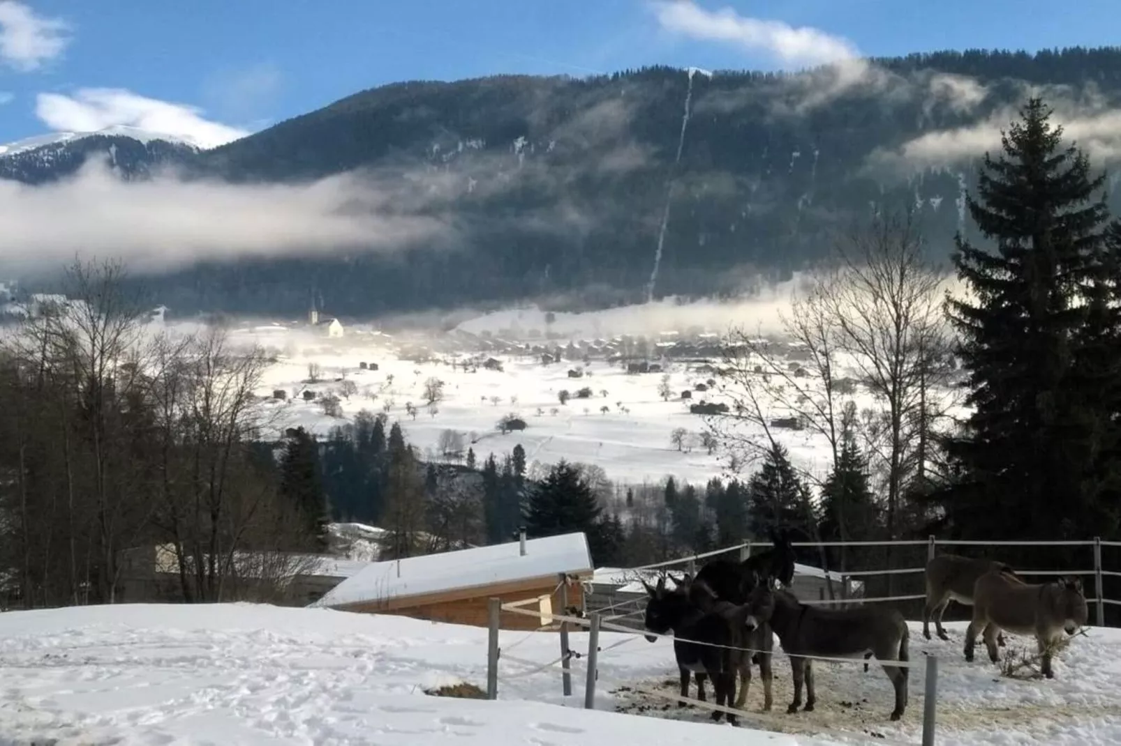 Chalet Verrel - beneden-Gebiet Winter 1 km