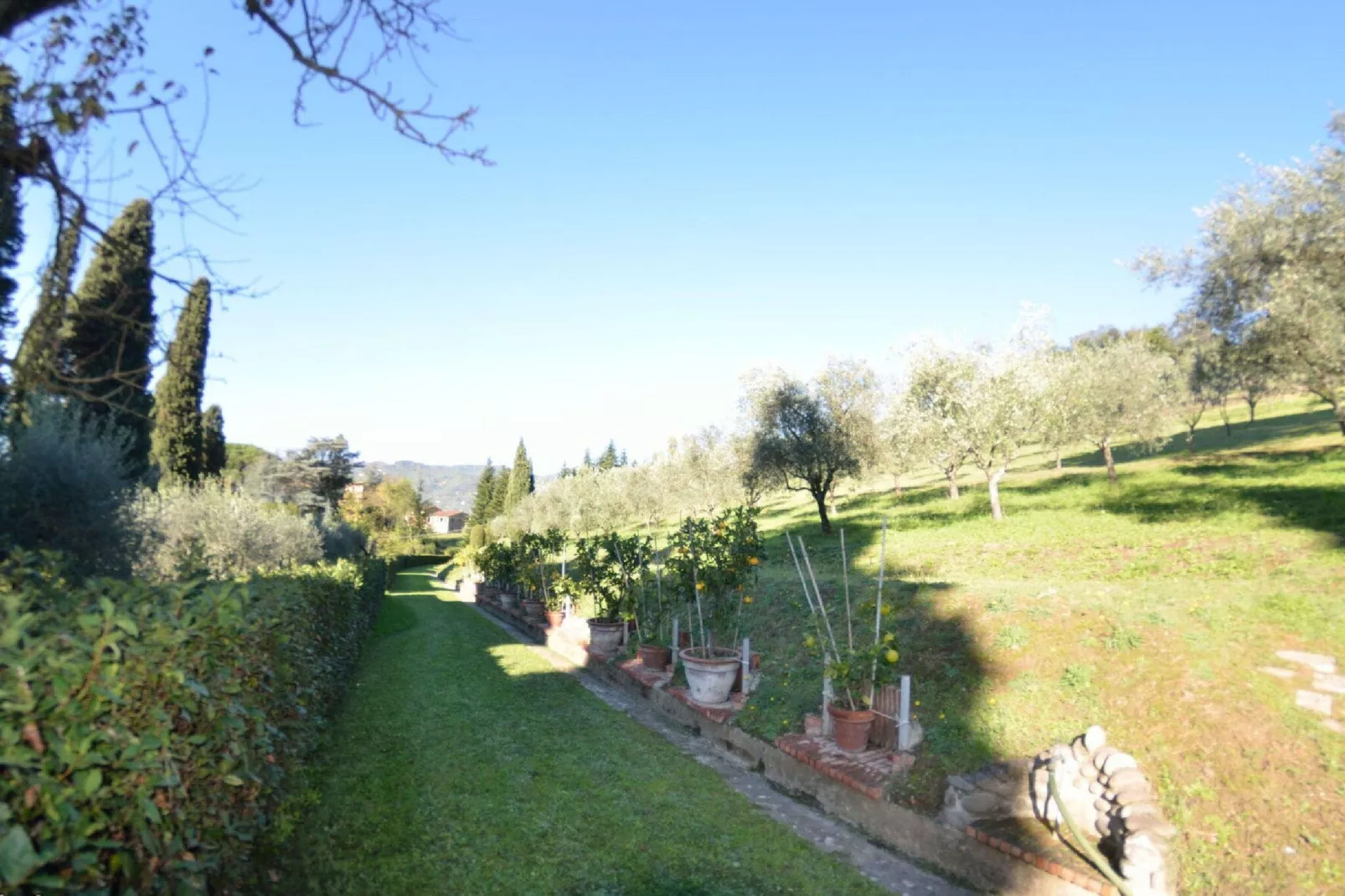 Il Borghetto-Gardens summer
