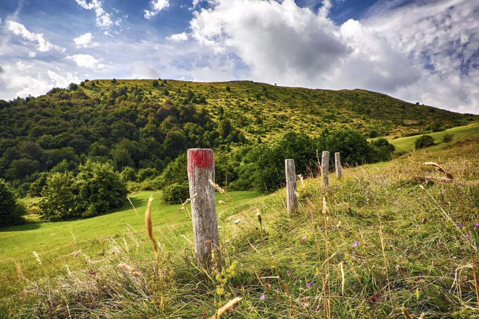 Dai Du Bourdei-Areas summer 5km