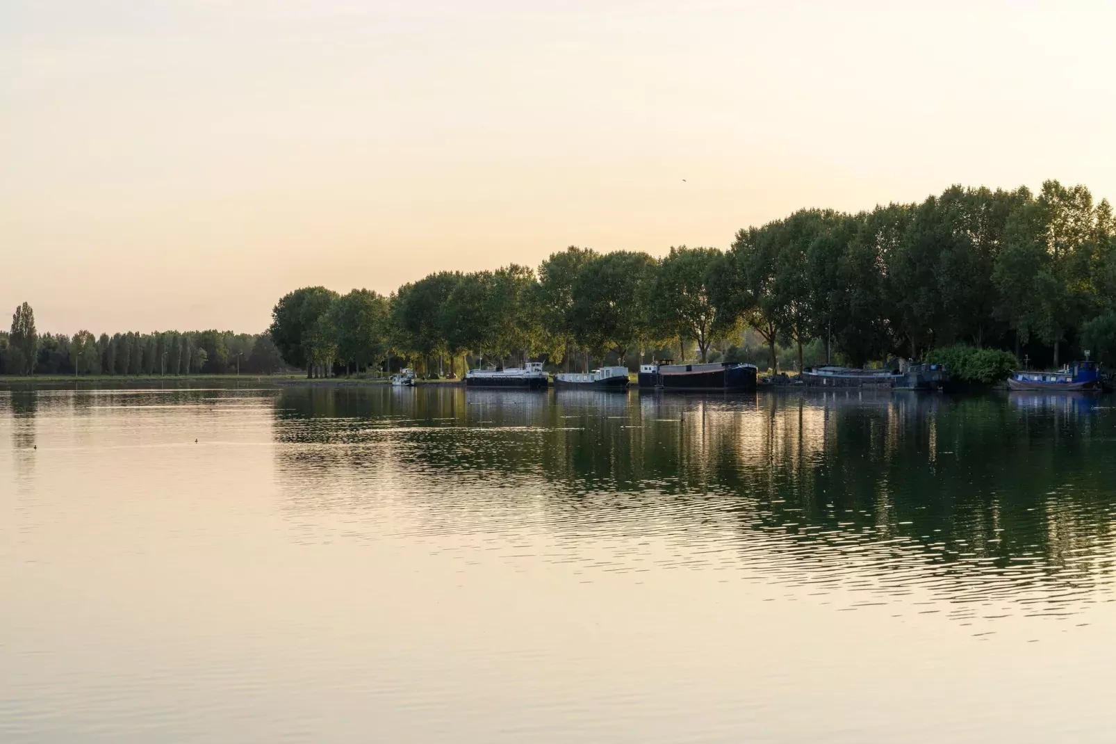 The Easy Accessible Leaf by YourNature-Areas summer 5km