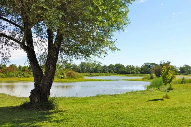 Holiday home Salin-de-Giraud-Gardens summer