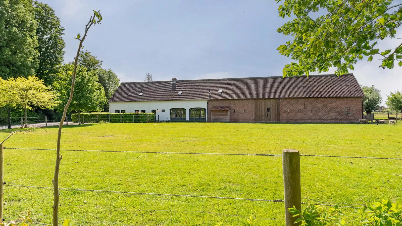 Caprice - Maldegem-Exterior summer