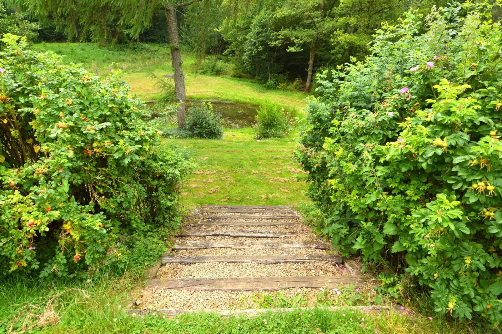 Gîte de la Semois-Jardin d'été