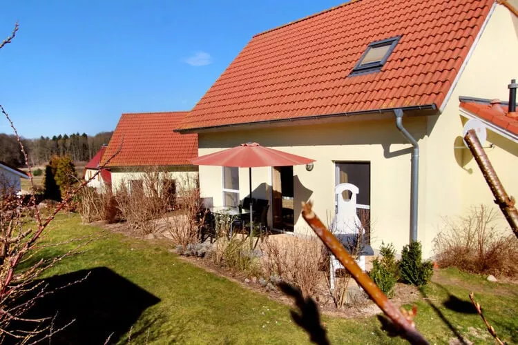 Apartments Aura - Comfort Studio Apartment 2 with shared swimming pool-Terrace