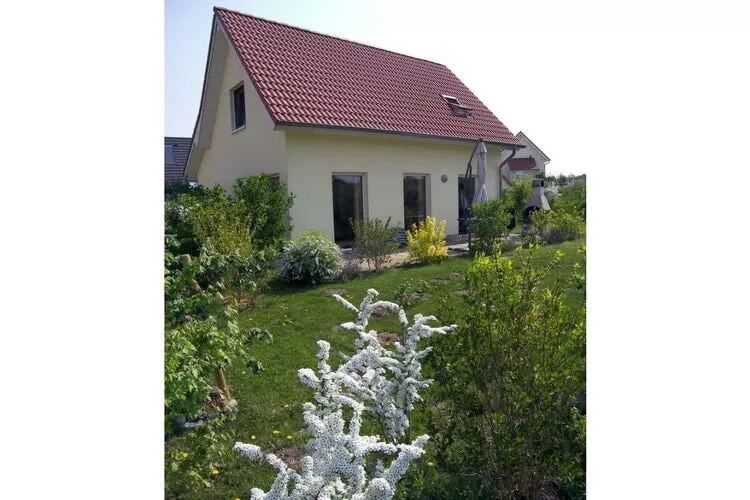 Apartments Aura - Comfort Studio Apartment 2 with shared swimming pool-Not tagged