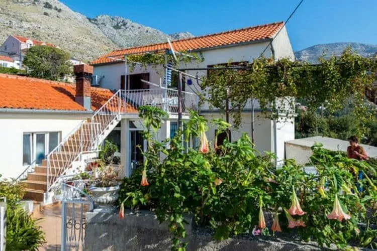 Guest House Fontana - Two Bedroom Apartment with Terrace and Sea View-Outdoor