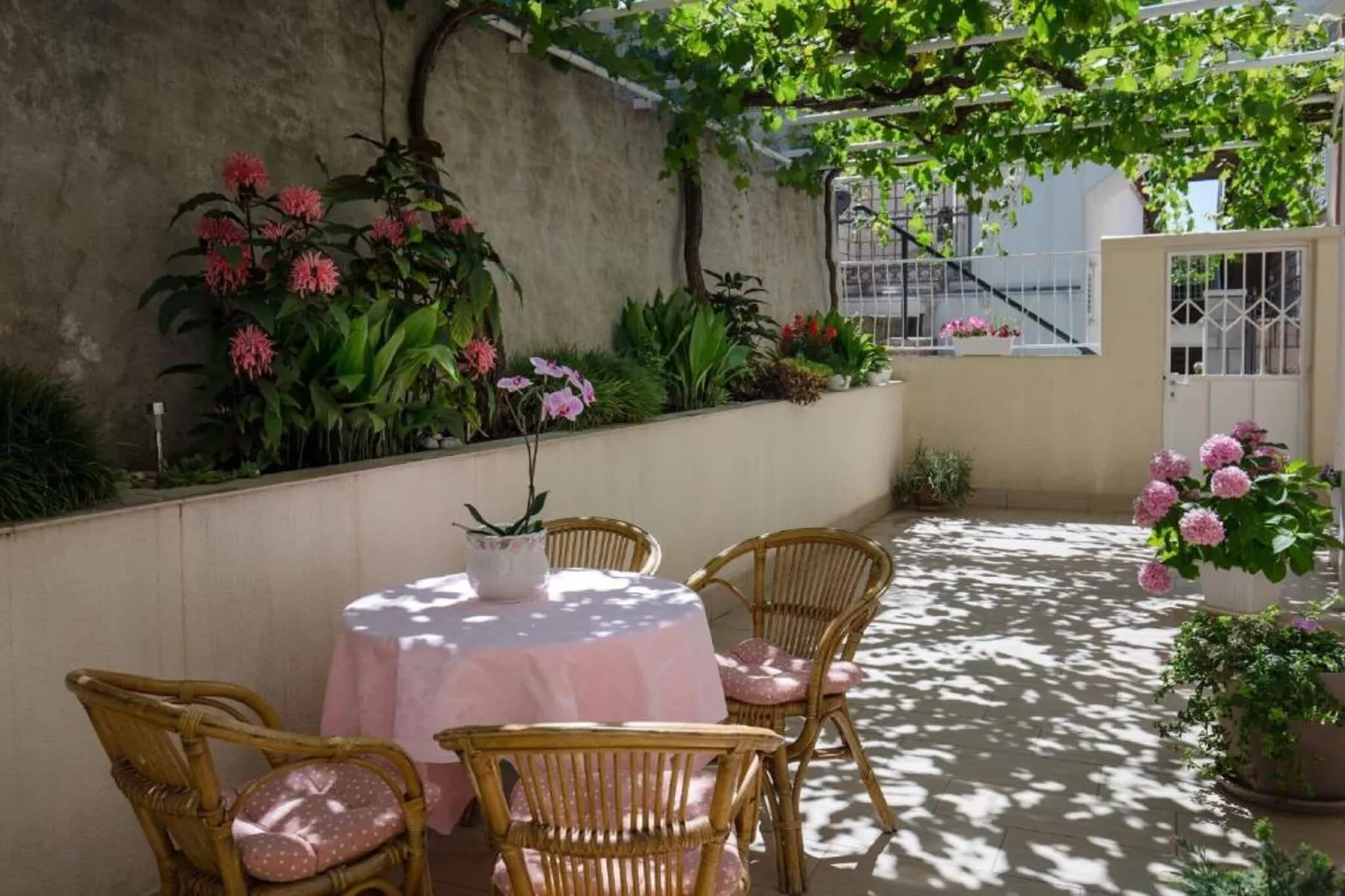 Rooms Batina - Double Room-1-Outdoor