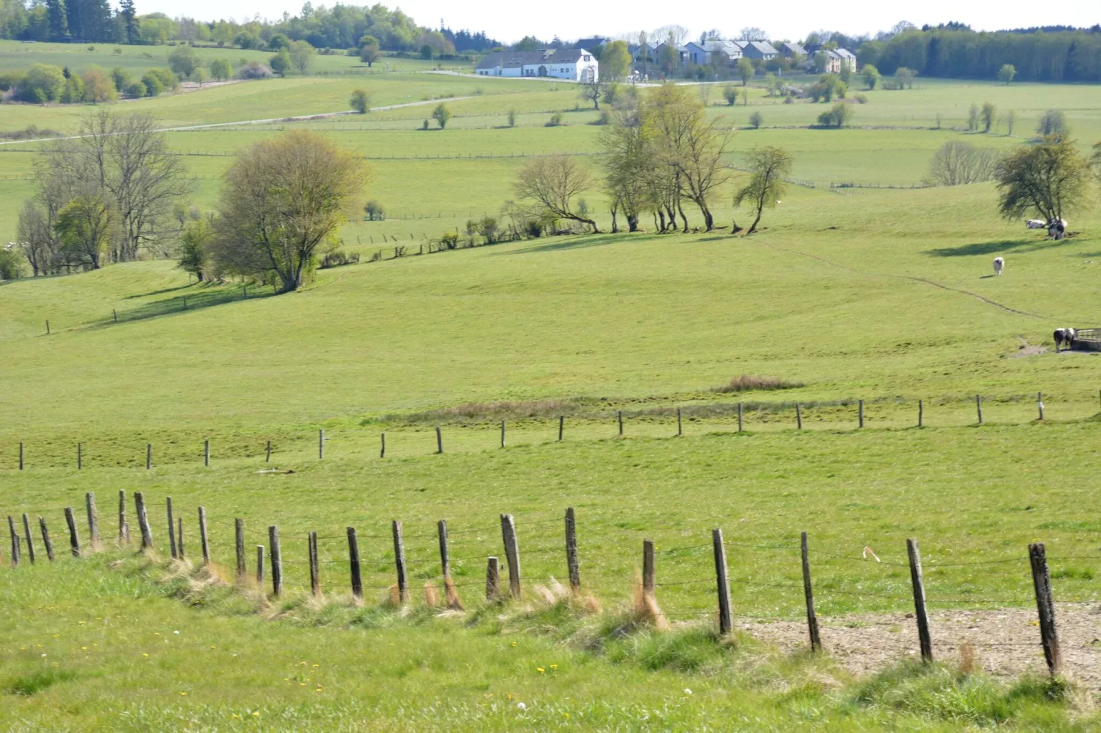 Entre Gaume et Ardenne-Areas summer 5km