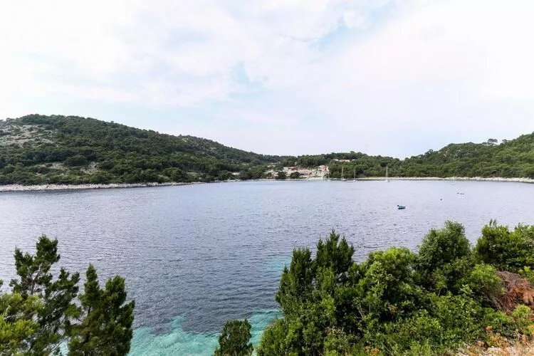 Apartmetns Franka Saplunara-One-Bedroom Apartment with Terrace and Sea View No2-View
