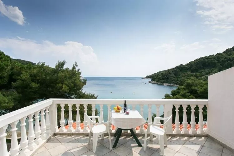 Apartmetns Franka Saplunara-One-Bedroom Apartment with Terrace and Sea View No2-Terrace