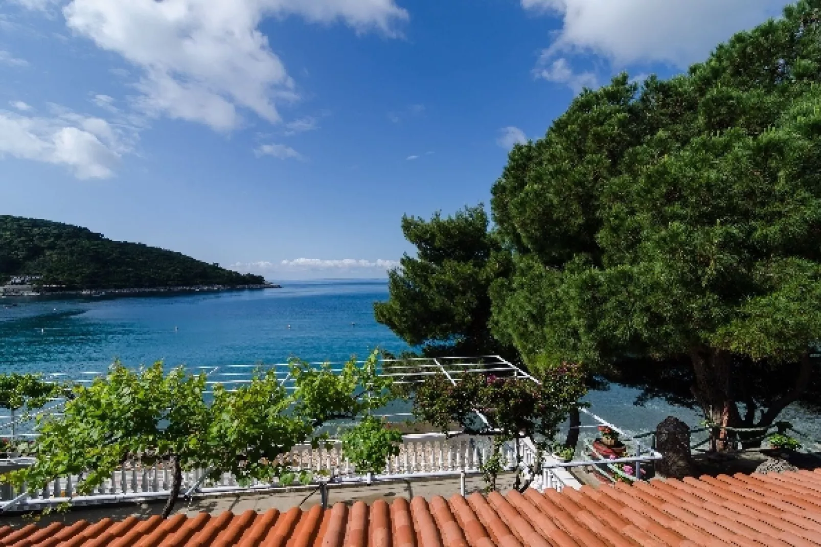 Apartments Franka Saplunara-Double Room with Terrace and Sea View-View