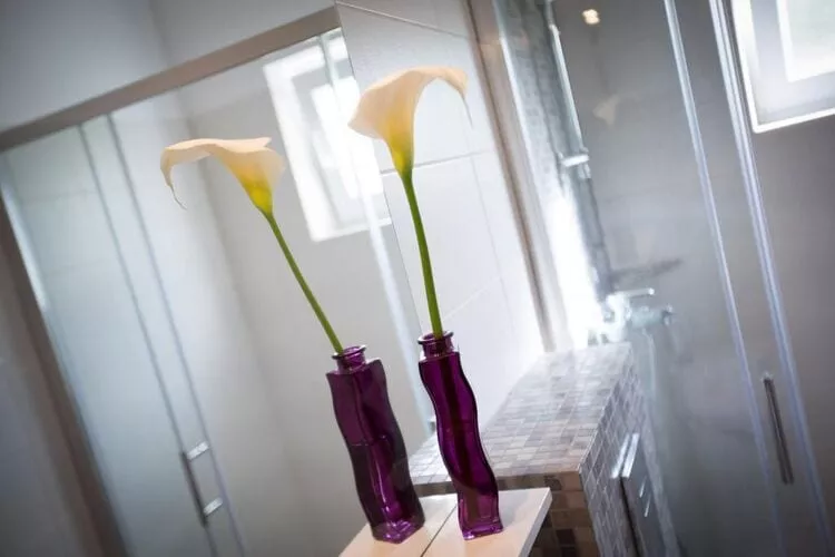 Villa Roza - One-Bedroom Apartment-Extérieur