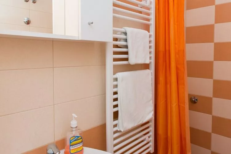 Apartments Garden - One-Bedroom Apartment with Terrace (2 Adults)-Salle de bain