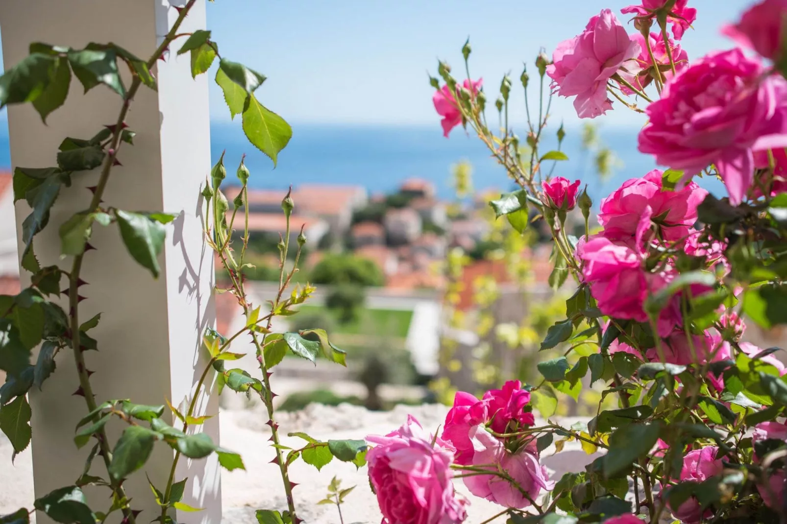 Apartment Faros - Two-Bedroom Apartment with Terrace and Sea View-View