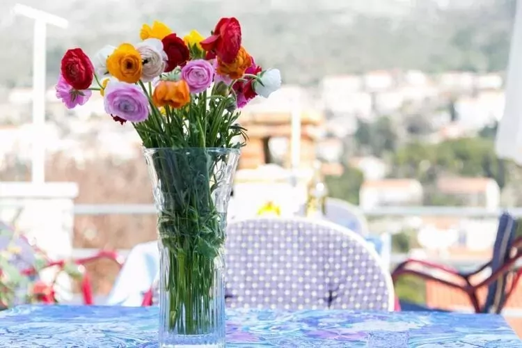 Guest House Raguz - Double Room - 1-Terrace
