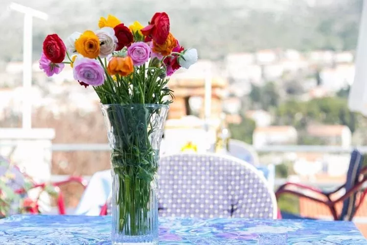 Guest House Raguz - Double Room - 2-Terrace