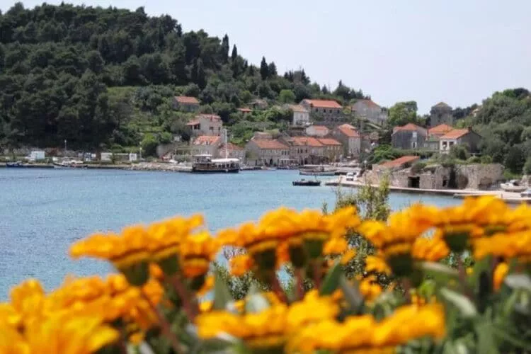 Guest House Simunovic - Double Room with Garden View-View