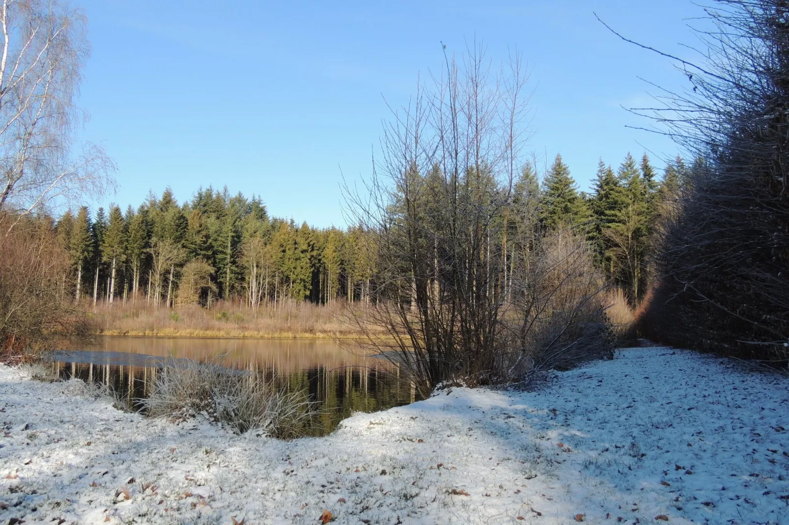 Domaine du Pichoux-Garden winter