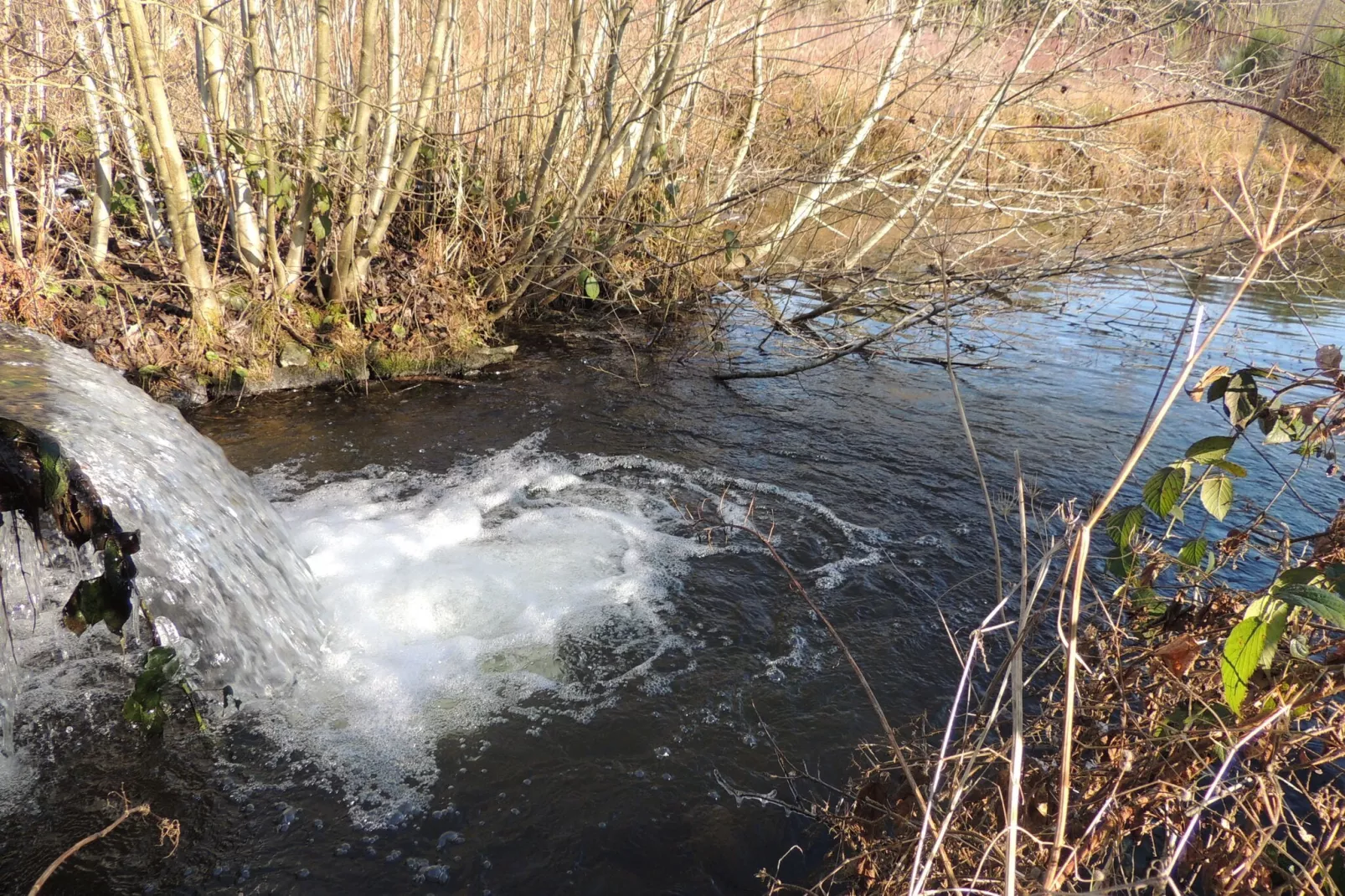 Domaine du Pichoux-Garden winter