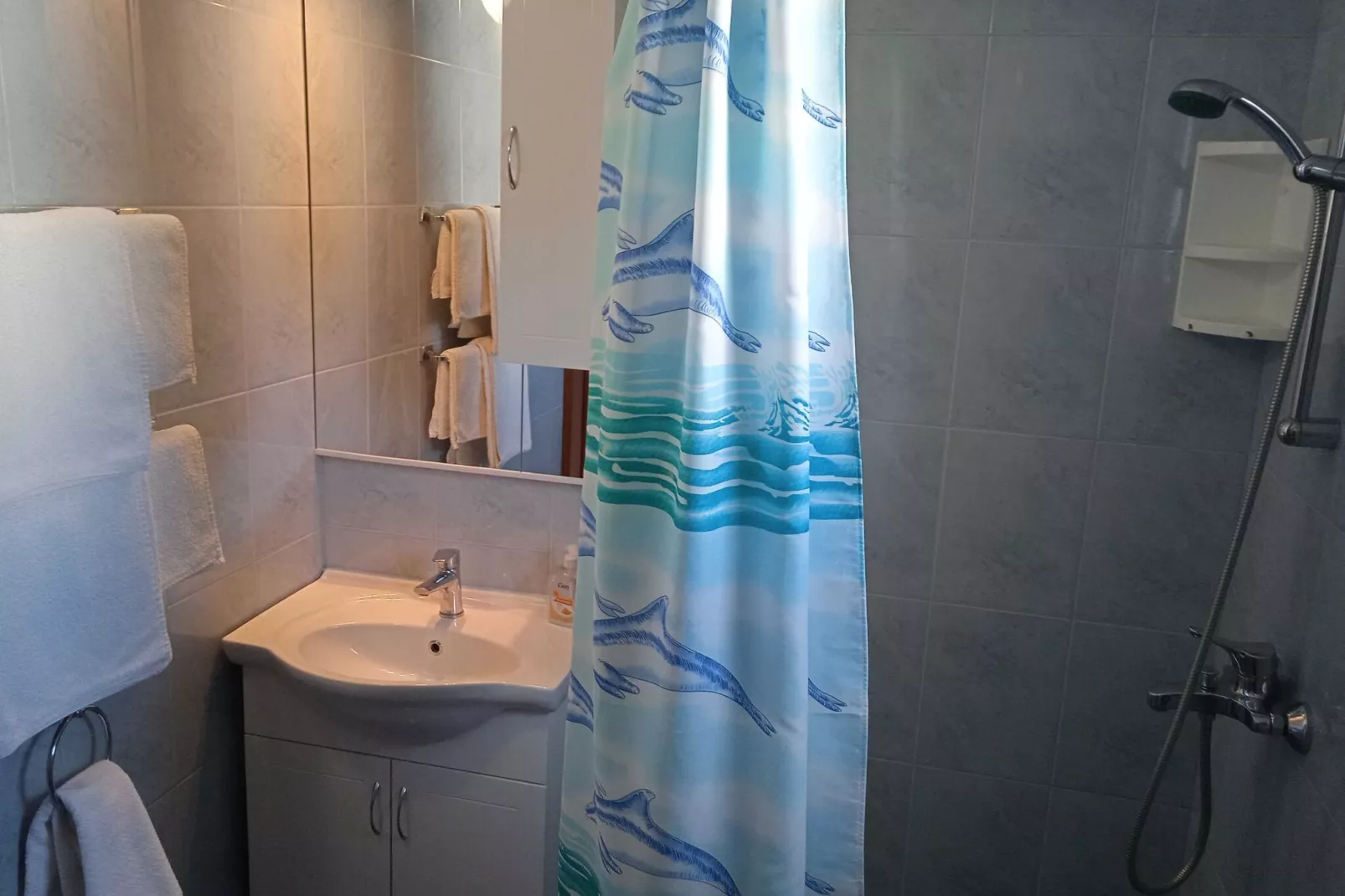Apartments Ana Lopud - One Bedroom Apartment with Balcony and Sea View - 3 (1 floor)-Badezimmer