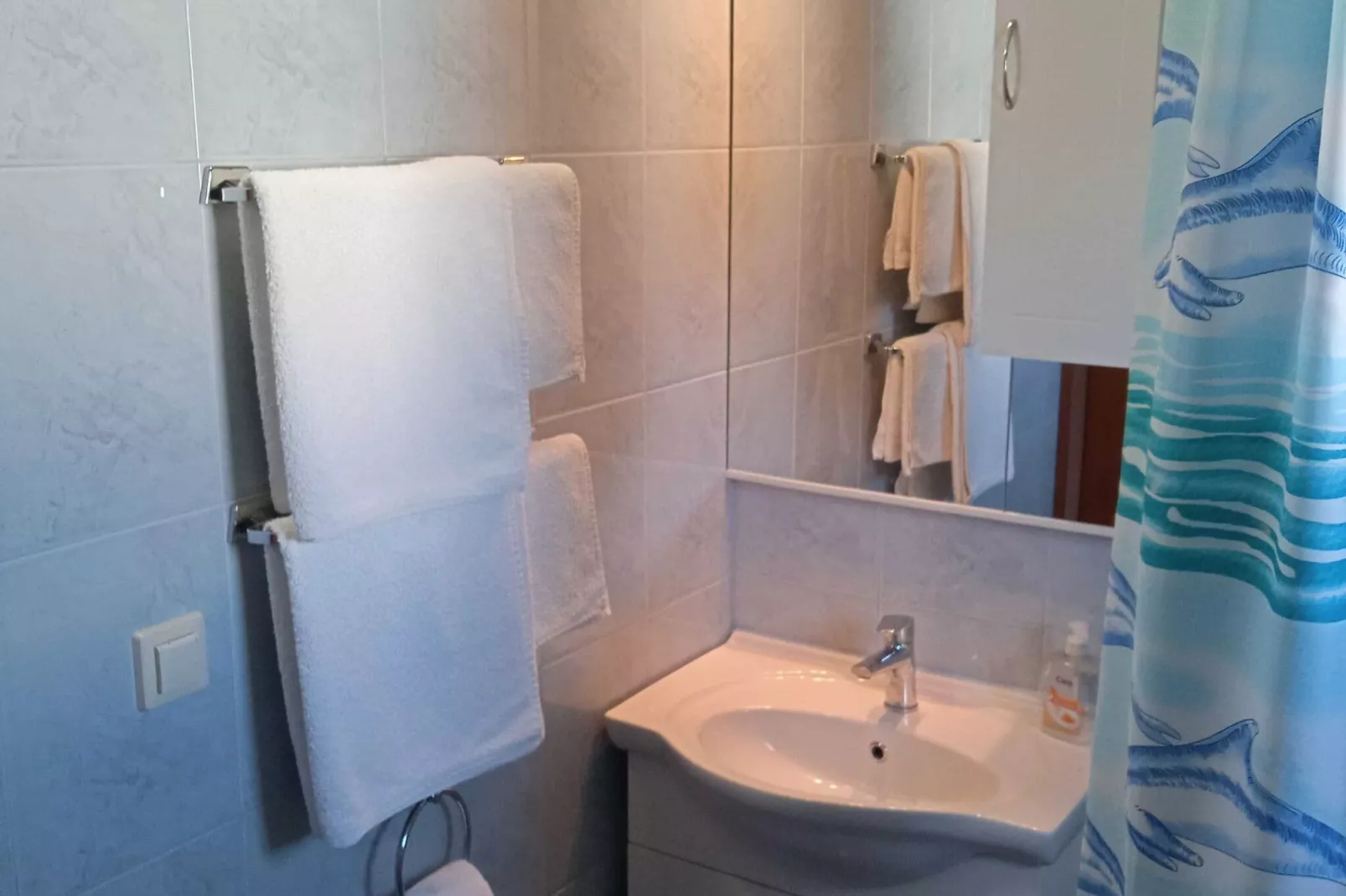 Apartments Ana Lopud - One Bedroom Apartment with Balcony and Sea View - 3 (1 floor)-Badezimmer