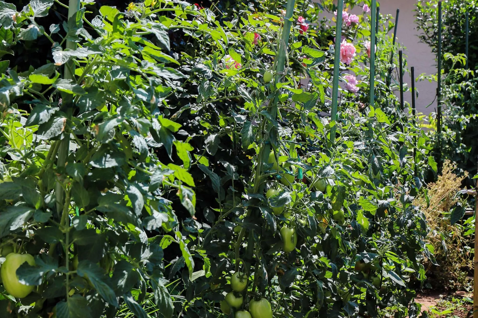 Apartment Garden M&M - One Bedroom Apartment-Intérieur