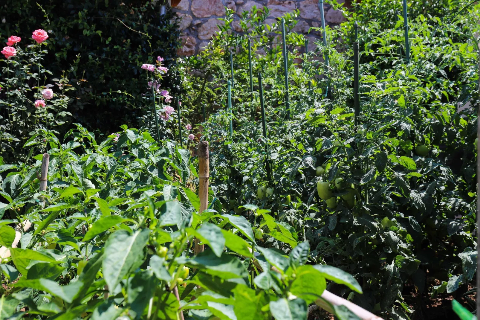Apartment Garden M&M - One Bedroom Apartment-Intérieur