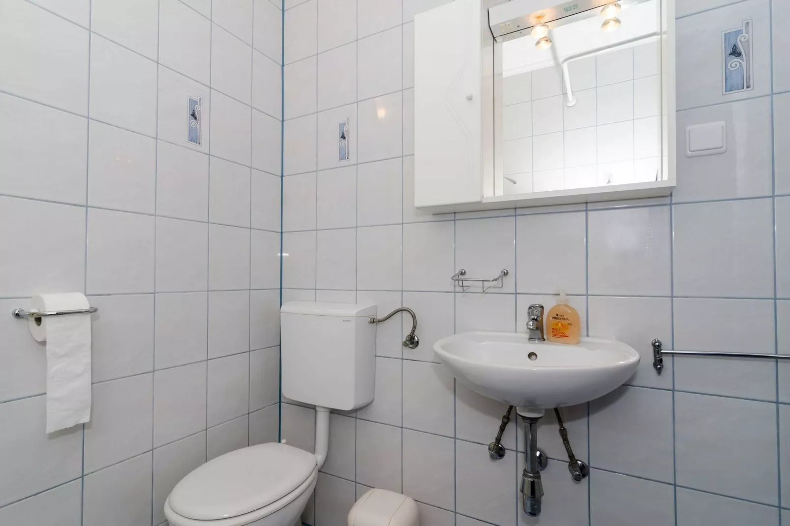 Guest House Daniela - Double Room with Balcony and Sea View - SOBA 4-Bathroom