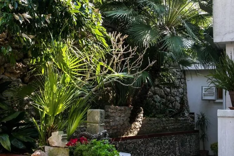 Plavi Zal Apartment - One Bedroom Apartment with Two Terraces-Terrasse