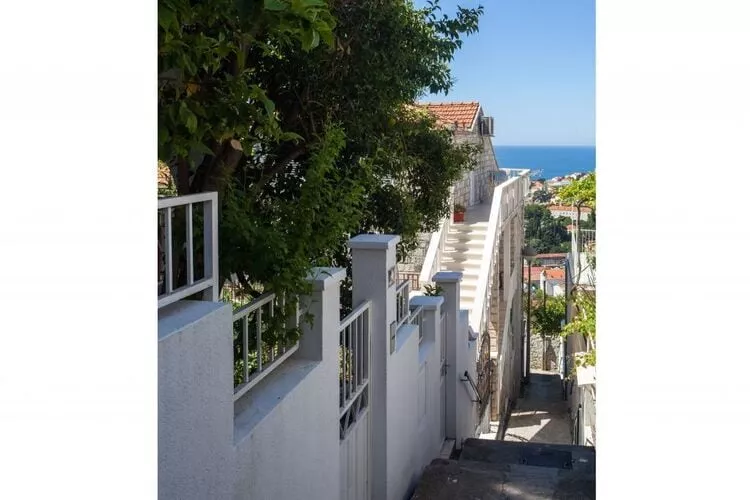 Guest House Kono- Double Room with Terrace-Outdoor