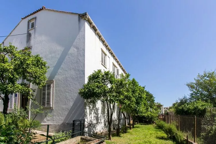Apartment Blue & Green -  Two-Bedroom Apartment with Terrace and Garden View-Extérieur