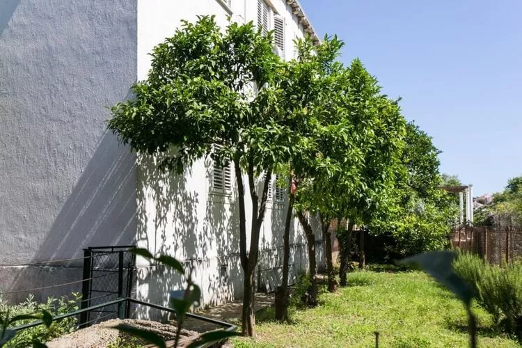 Apartment Blue & Green -  Two-Bedroom Apartment with Terrace and Garden View-Extérieur