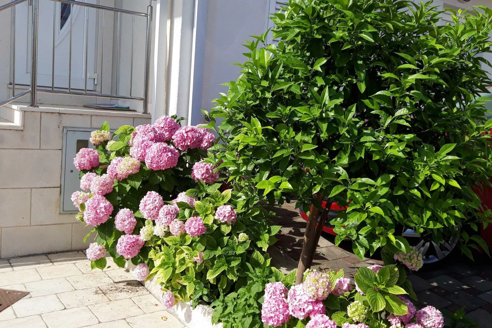 Apartments Pojko - One-Bedroom Apartment with Terrace (Yellow)-Gardens summer