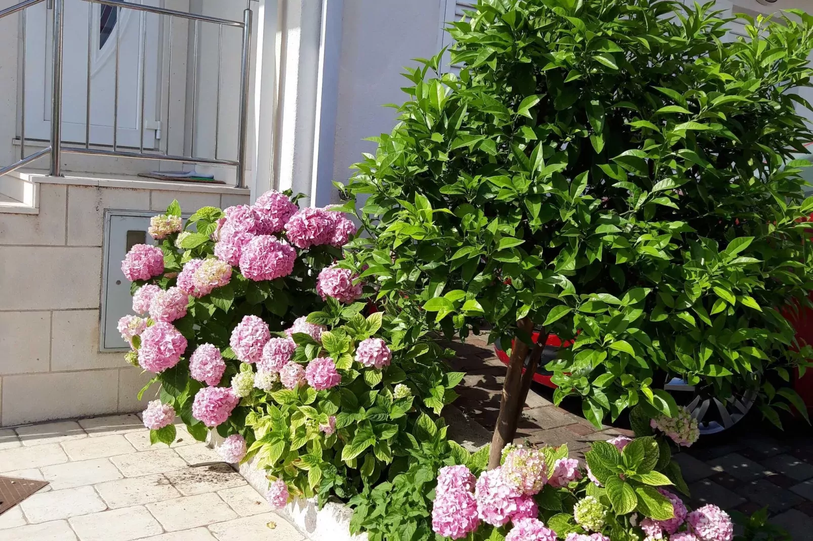 Apartments Pojko - Standard One-Bedroom Apartment with Terrace (Red)-Gardens summer