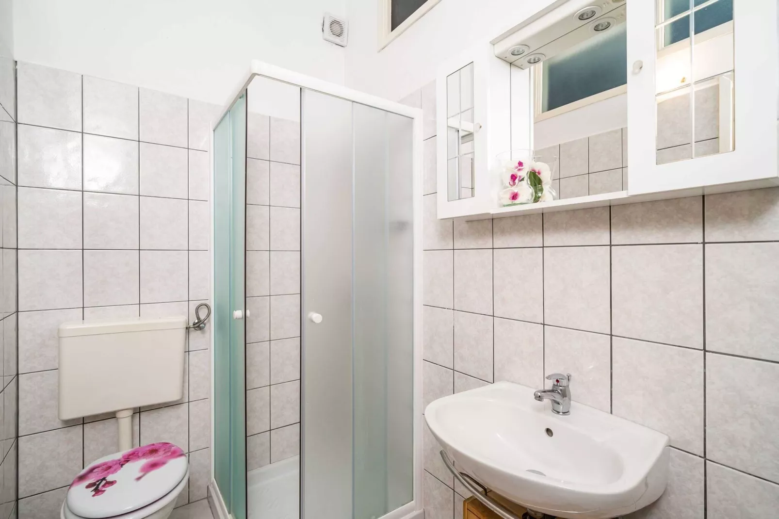 Apartments Nikolina (LU) - Studio with Terrace-Bathroom