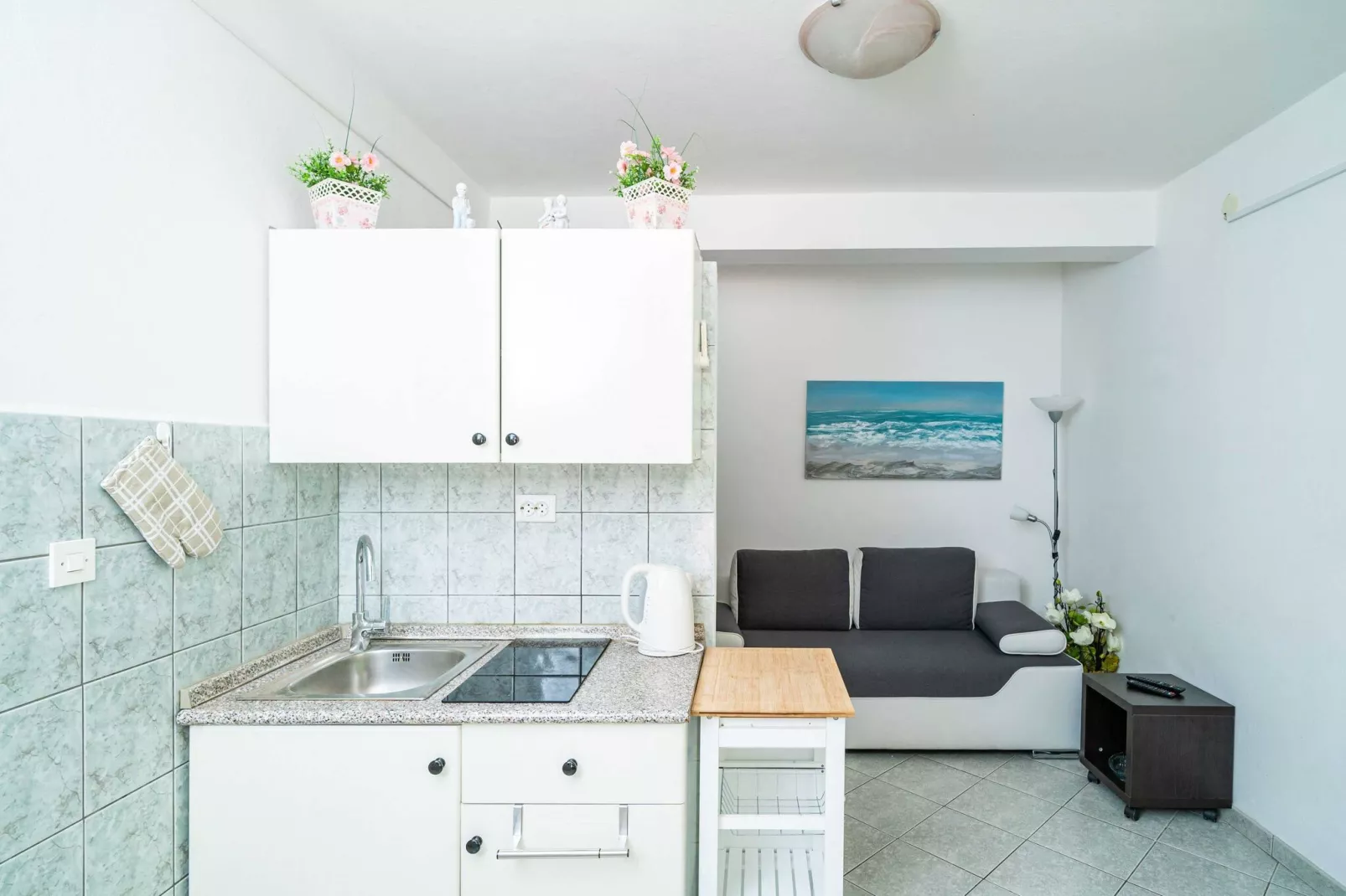 Apartments Nikolina (LU) - One-Bedroom Apartment with Balcony-Kitchen