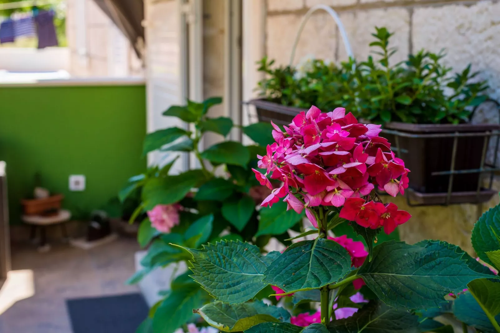 Apartments and Room Frane - Double Room-Outdoor