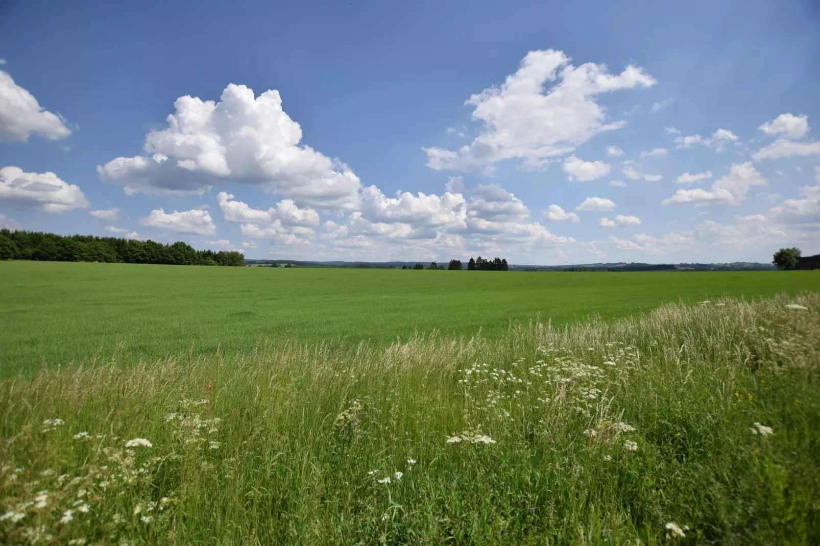 Le Sart-Areas summer 1km