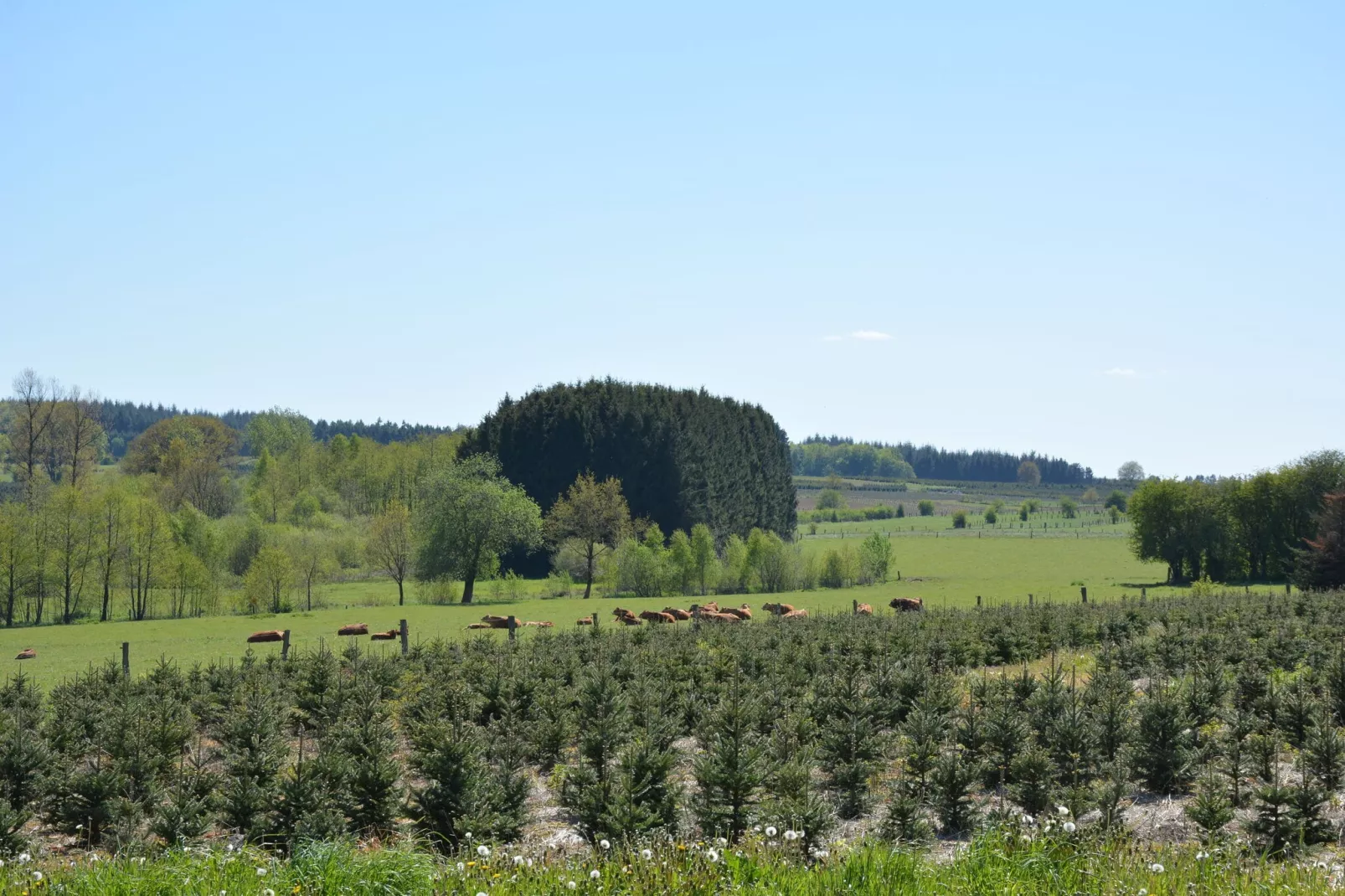 La Pépinière-Areas summer 1km