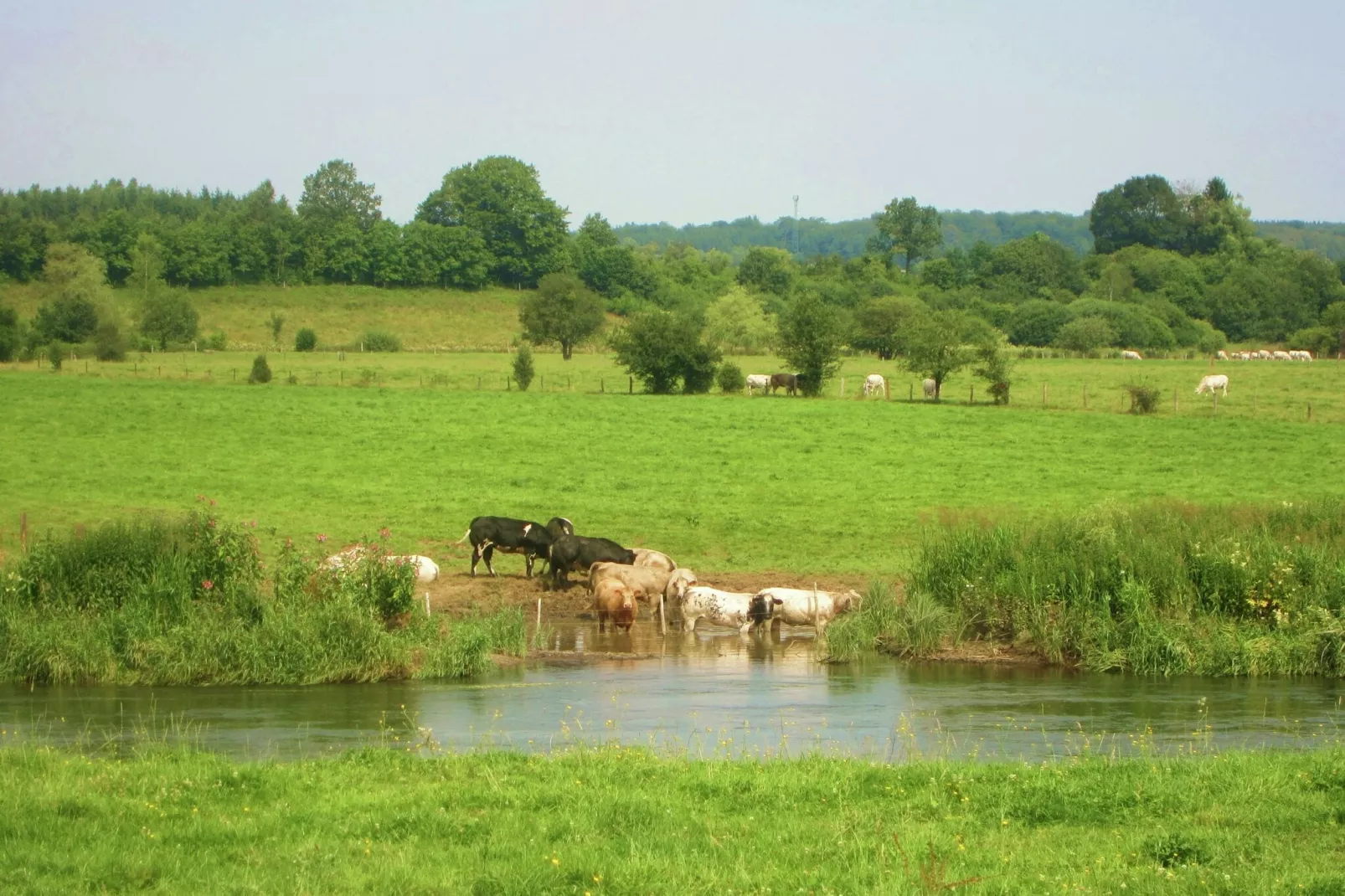 La Pépinière-Areas summer 5km
