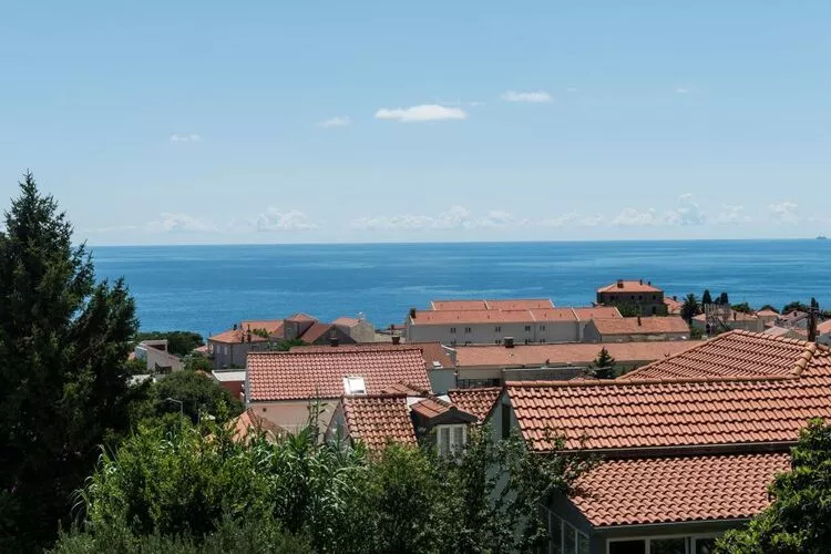 Apartment Mir - Studio Apartment with Garden View-View