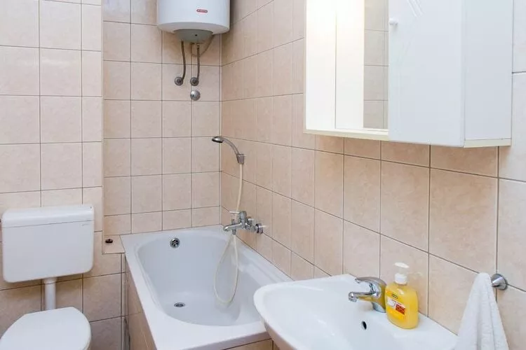 Apartment & Room Braica - One-Bedroom Apartment with Balcony-Salle de bain